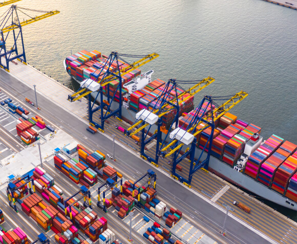 Green Xclusive Global Delivery